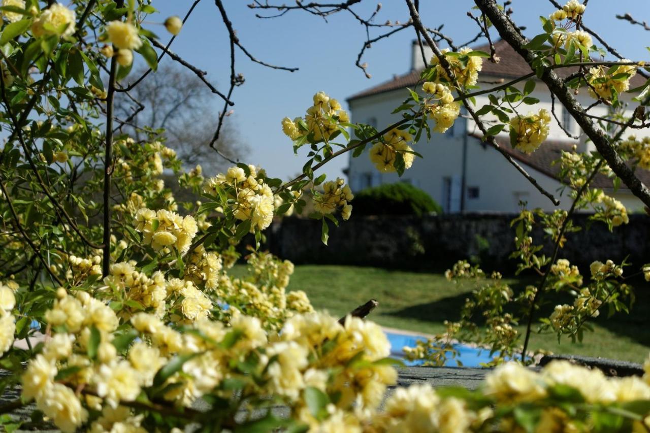 Bois De Cadene Bed & Breakfast Saint-Pierre-de-Buzet Exterior photo